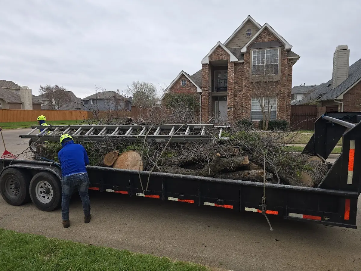 Expert Tree Fertilization with proper safety equipment in Lusby